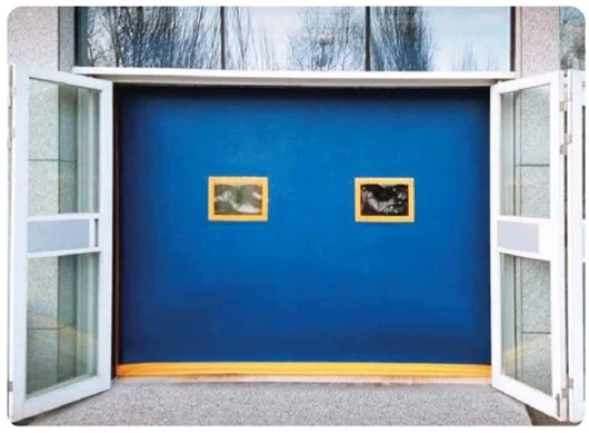 Rolling door-1